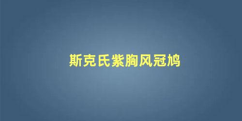 斯克氏紫胸风冠鸠