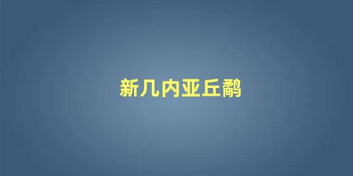 新几内亚丘鹬
