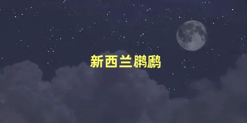 新西兰䴙䴘