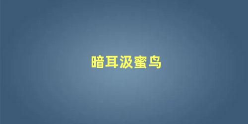 暗耳汲蜜鸟