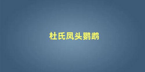 杜氏凤头鹦鹉