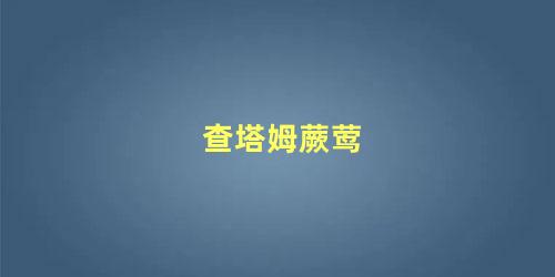 查塔姆蕨莺