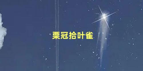 栗冠拾叶雀