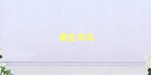 栗肛伞鸟