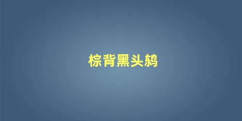 棕背黑头鸫