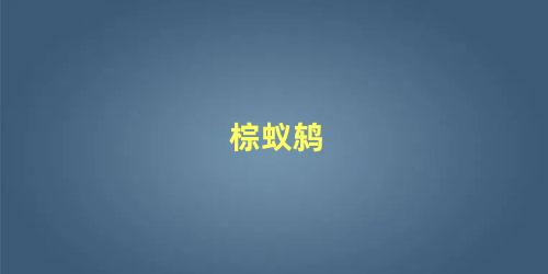 棕蚁鸫