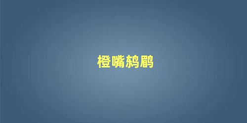 橙嘴鸫鹛