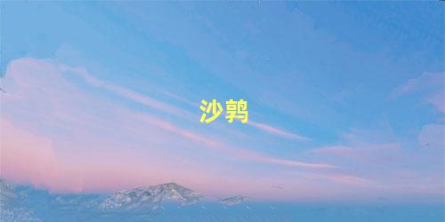 沙鹑