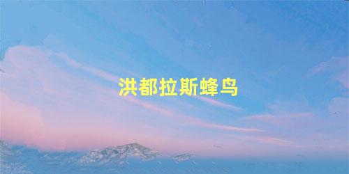 洪都拉斯蜂鸟