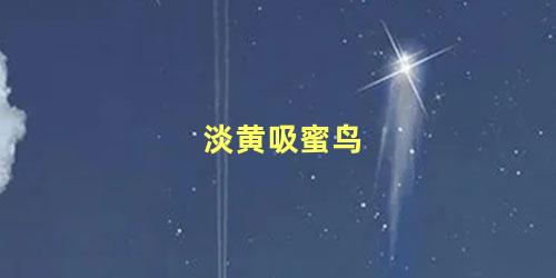淡黄吸蜜鸟