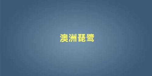 澳洲琵鹭