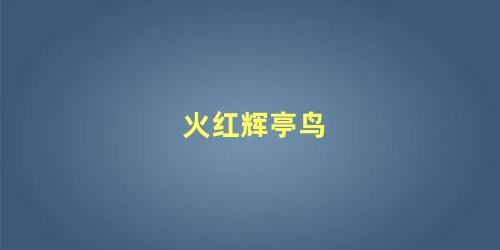 火红辉亭鸟
