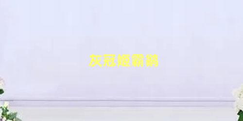 灰冠姬霸鹟