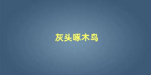 灰头啄木鸟