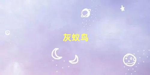 灰蚁鸟