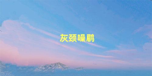 灰颈噪鹛
