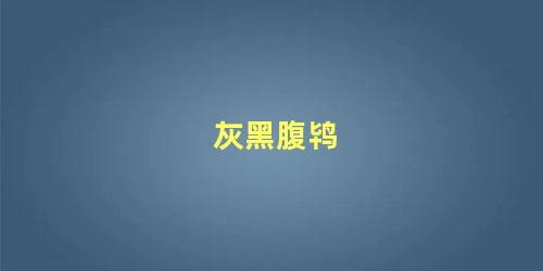灰黑腹鸨