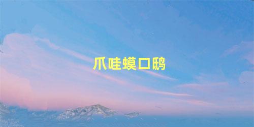 爪哇蟆口鸱