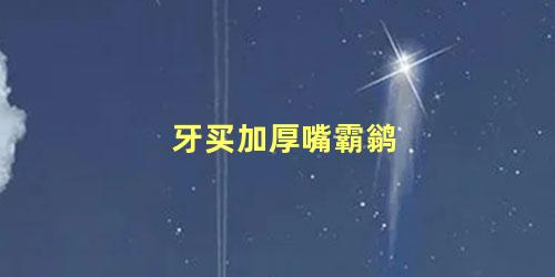 牙买加厚嘴霸鹟