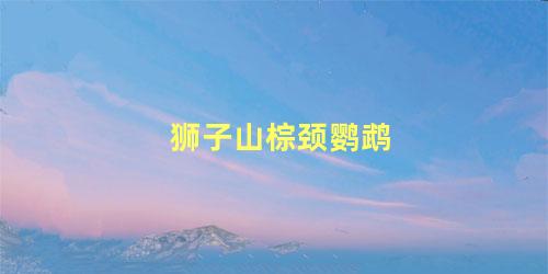 狮子山棕颈鹦鹉