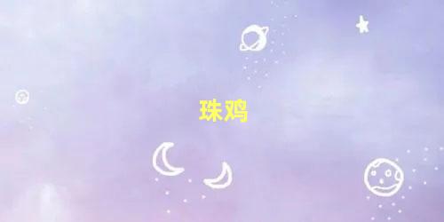 珠鸡