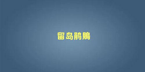 留岛鹃鵙
