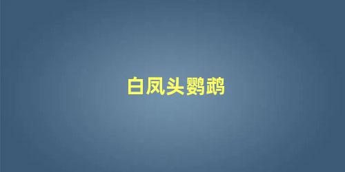 白凤头鹦鹉