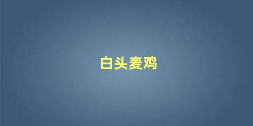 白头麦鸡