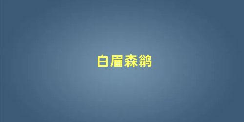 白眉森鹟
