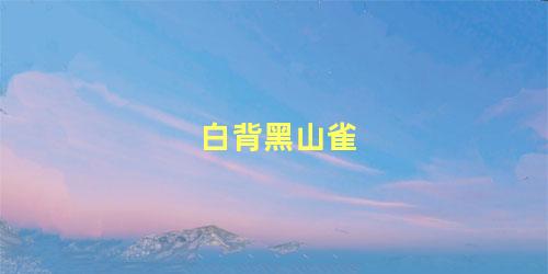 白背黑山雀