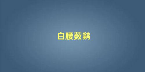 白腰薮鹟