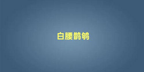 白腰鹊鸲
