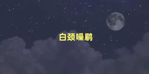 白颈噪鹛
