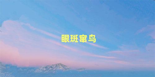 眼斑窜鸟