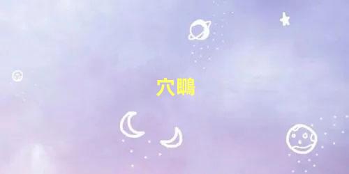 穴䳭