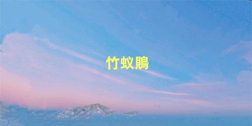 竹蚁鵙