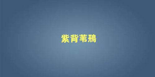 紫背苇鳽