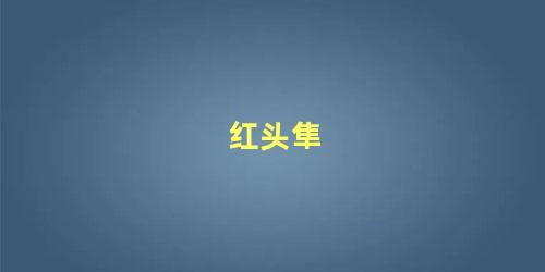 红头隼