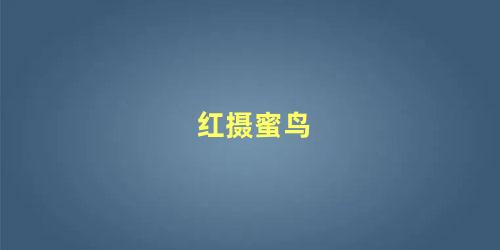 红摄蜜鸟