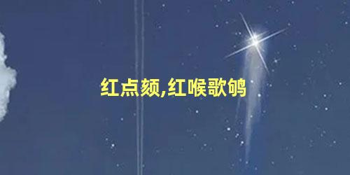 红点颏,红喉歌鸲