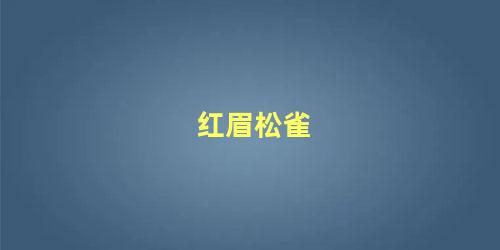 红眉松雀