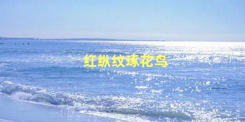 红纵纹琢花鸟