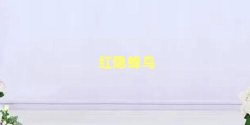 红隐蜂鸟