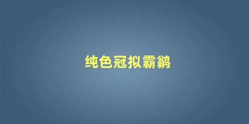 纯色冠拟霸鹟