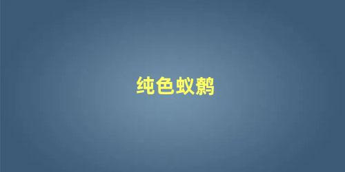 纯色蚁鹩