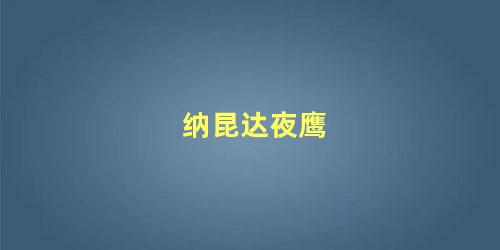 纳昆达夜鹰