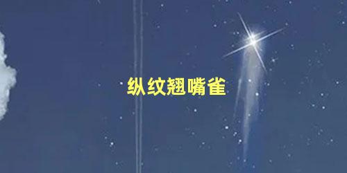 纵纹翘嘴雀