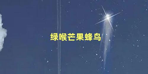绿喉芒果蜂鸟