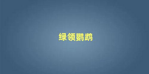 绿领鹦鹉