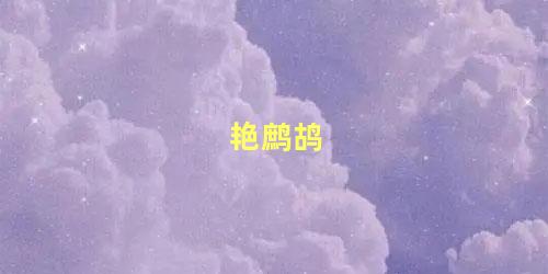 艳鹧鸪